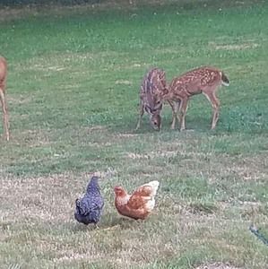 Meet your Posher, Michele